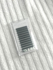 Single Length Lash Trays